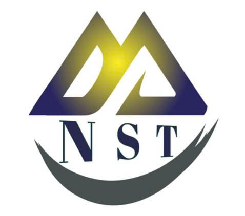 CÔNG TY CỔ PHẦN SẢN XUẤT VÀ THƯƠNG MẠI NST VIỆT NAM